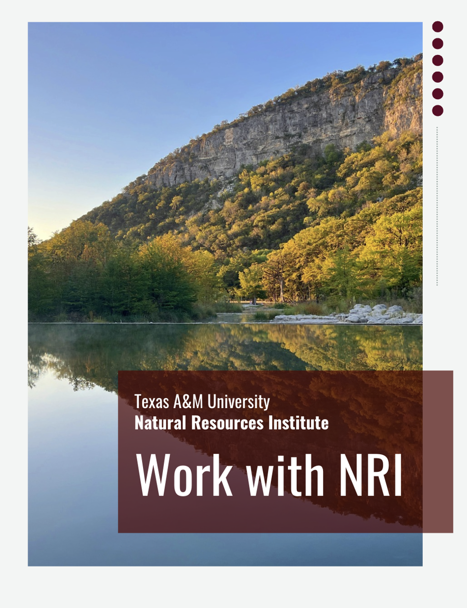 Work with NRI.png